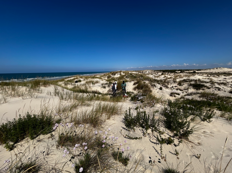 03-Dunas-moviles-litorales@2x