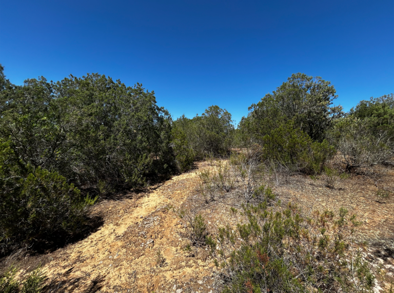 05-Dunas-litorales-con-Juniperus@2x