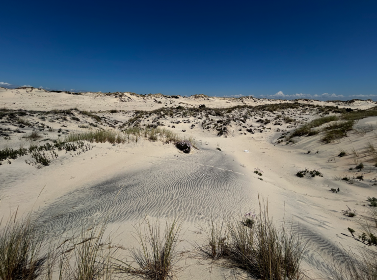 06-Dunas-moviles-litorales@2x